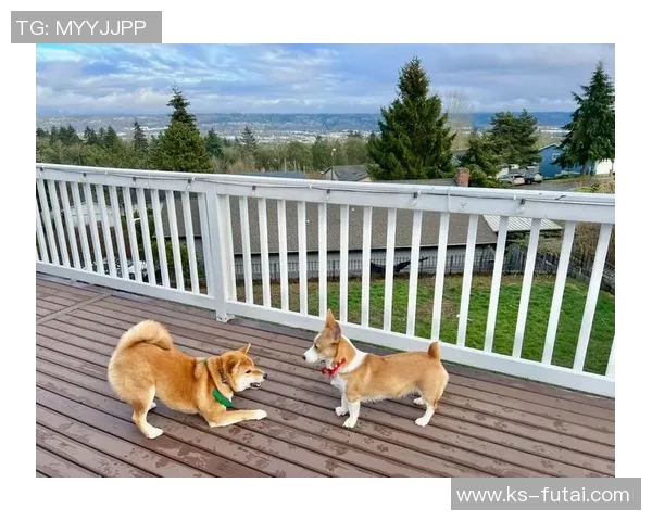 乌拉圭与日本精彩对决视频回顾分析及赛后亮点总结 乌拉圭与日本精彩对决视频回顾分析及赛后亮点总结