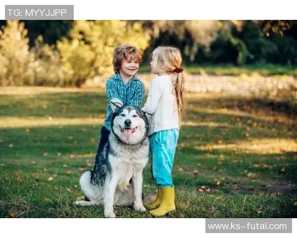 十岁小孩与二十八岁姐姐的成长故事与人生智慧碰撞 十岁小孩与二十八岁姐姐的成长故事与人生智慧碰撞