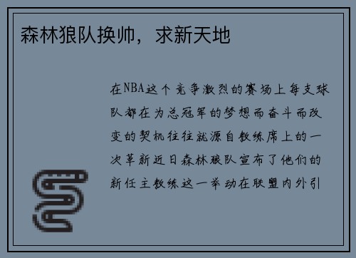 森林狼队换帅，求新天地